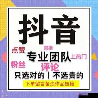 抖音点赞1元100个赞平台在线，背后的秘密与风险